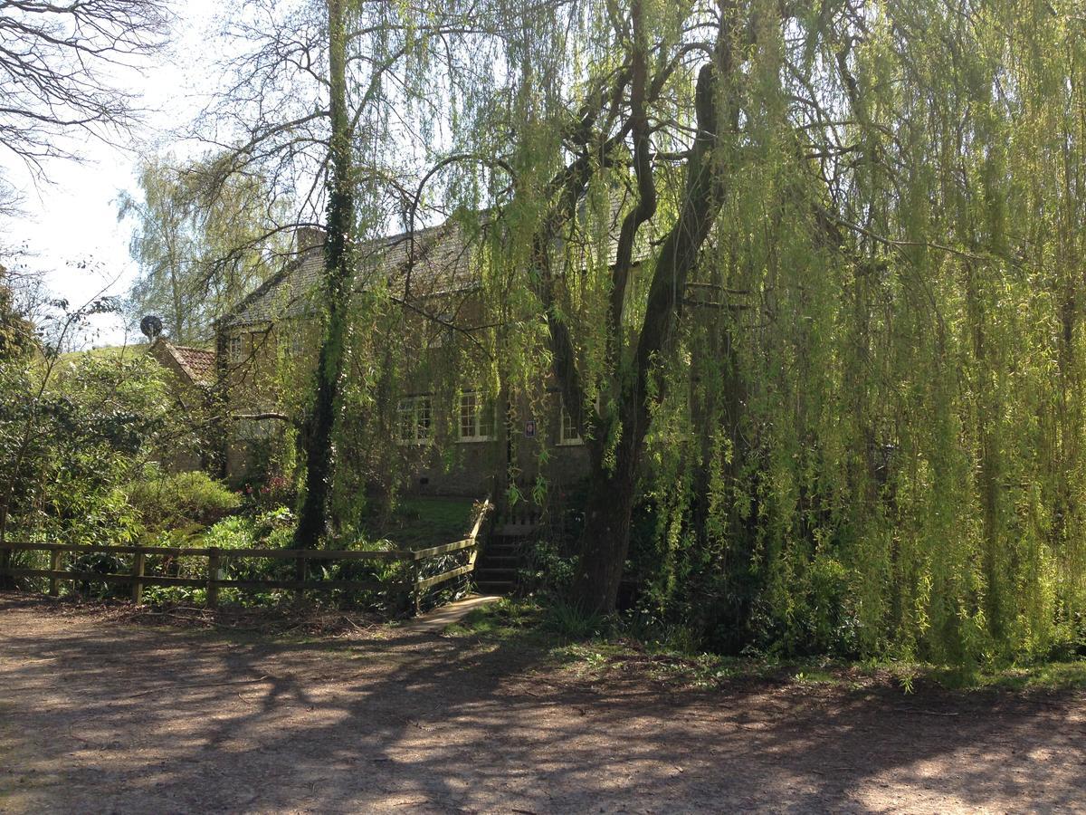 Bagnell Cottage Chiselborough Zewnętrze zdjęcie