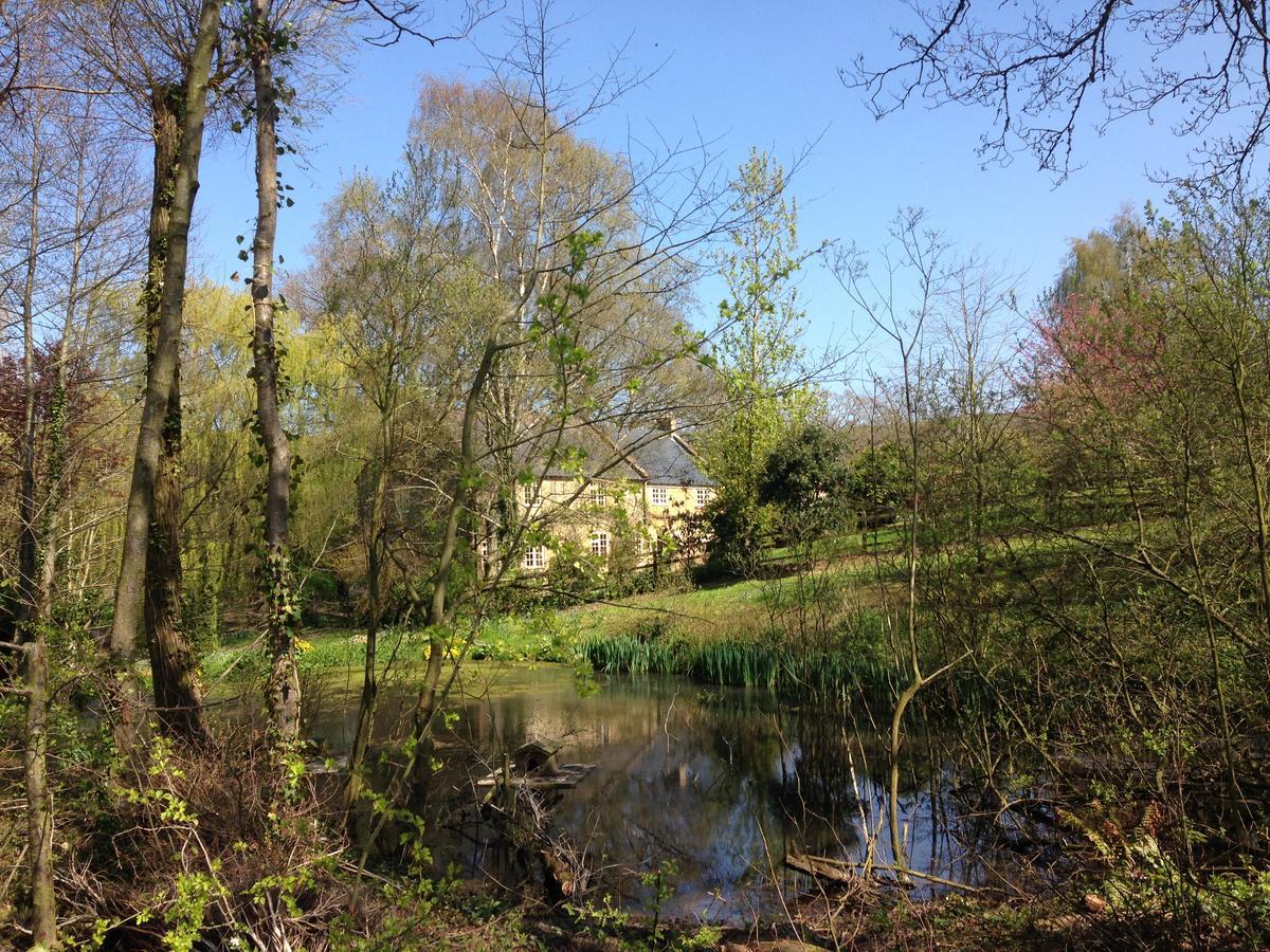 Bagnell Cottage Chiselborough Zewnętrze zdjęcie