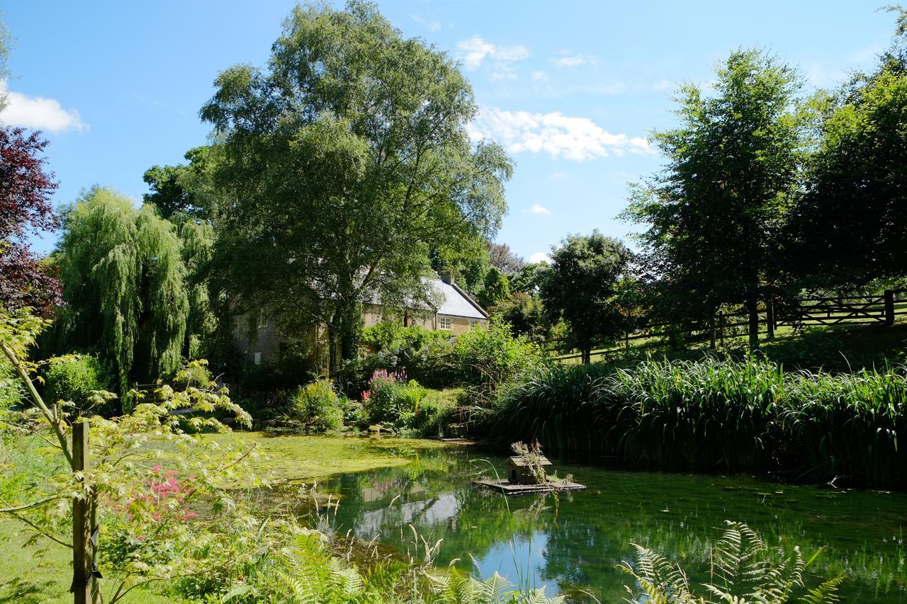 Bagnell Cottage Chiselborough Zewnętrze zdjęcie