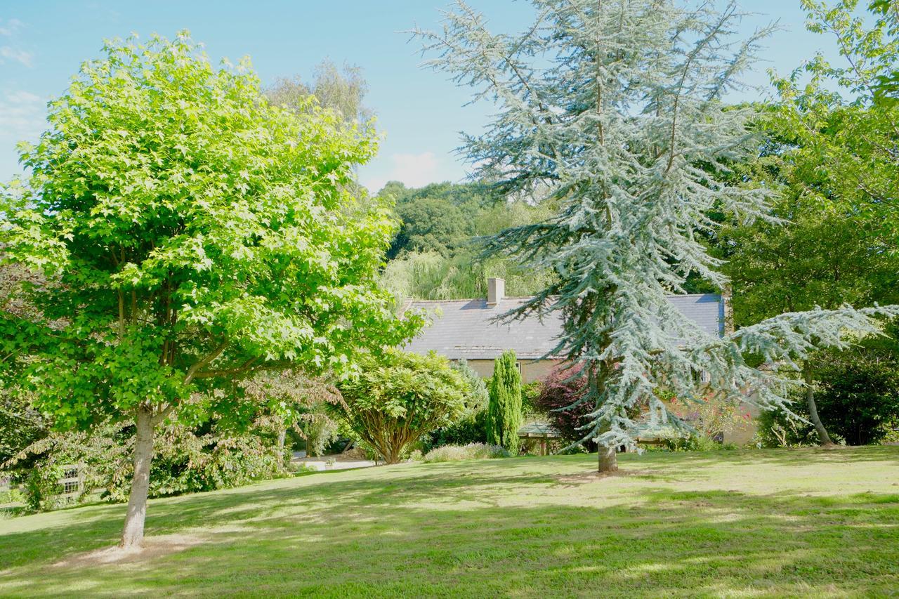 Bagnell Cottage Chiselborough Zewnętrze zdjęcie