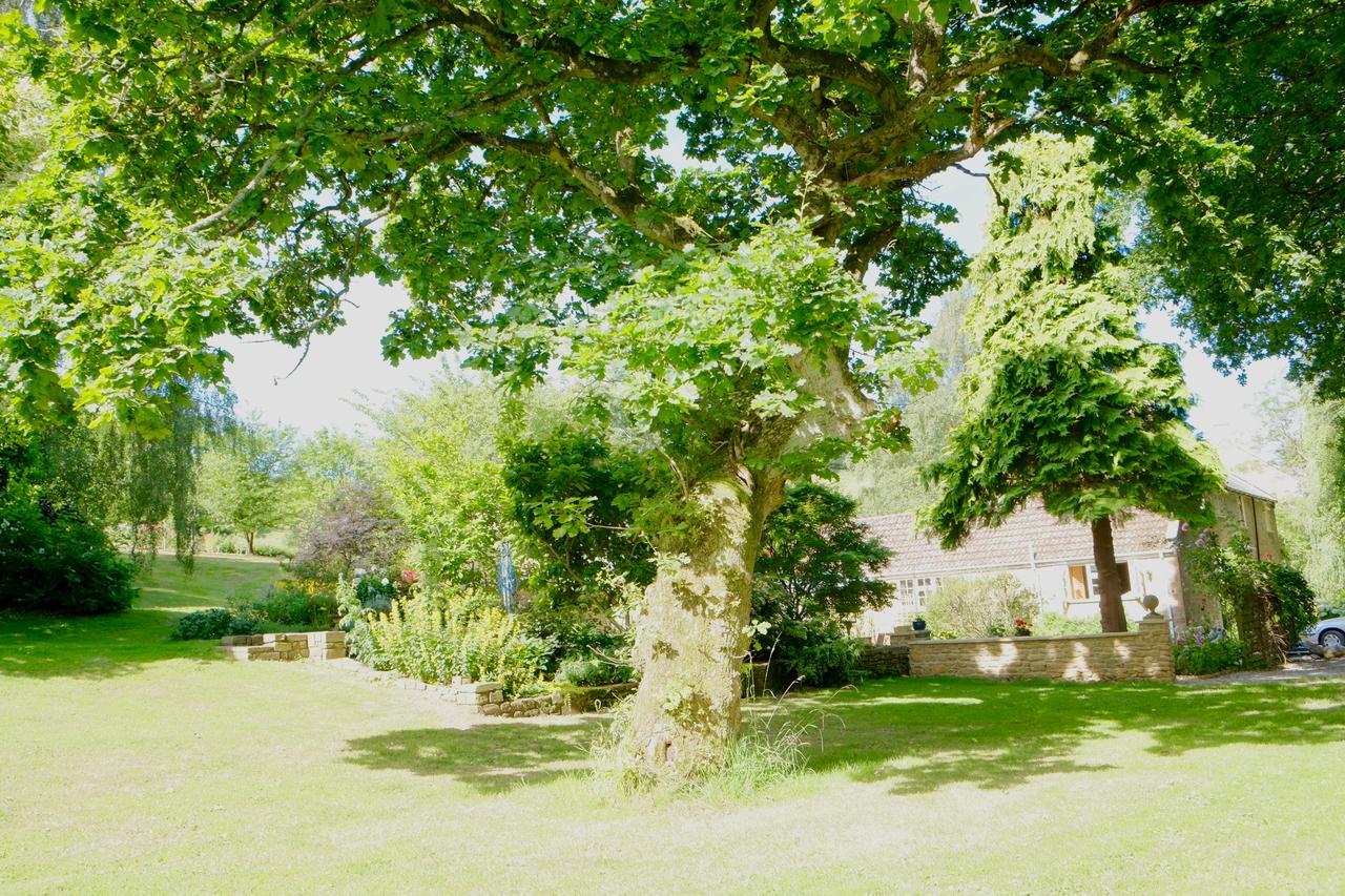 Bagnell Cottage Chiselborough Zewnętrze zdjęcie